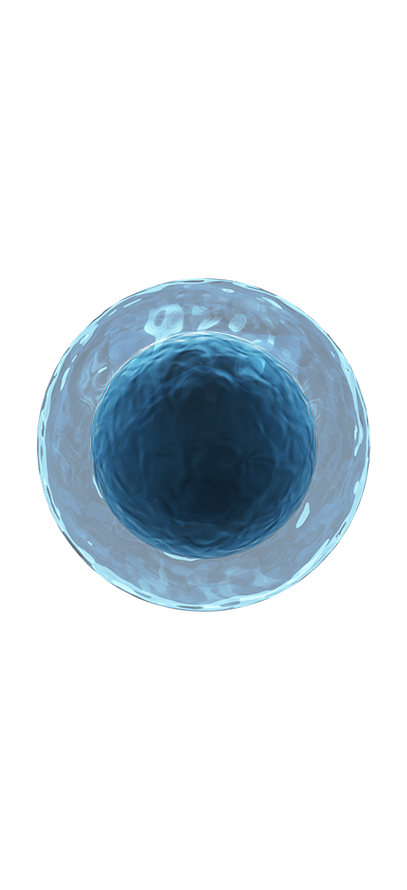Mesenchymal Stem Cell 프로그램 소개 이미지