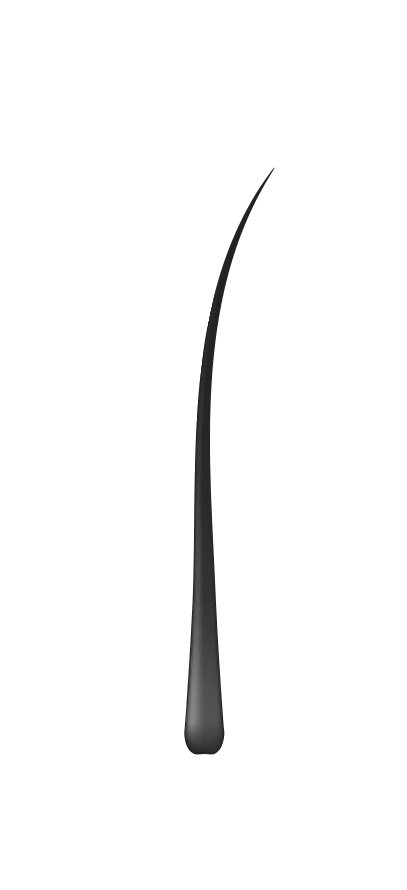 Hair Restoration System 모발 복원 시스템 소개