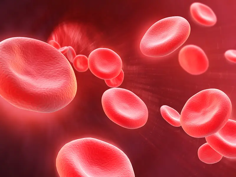 정밀 주입 - PRP Therapy